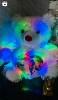 LED Teddy