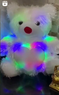 LED Teddy
