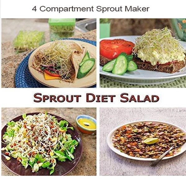 0070 Plastic 4 Compartment Sprout Maker, White