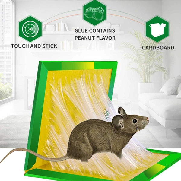 0204 Green Mice Glue Traps (1pc)