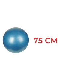 0580 Anti-Burst Gym Ball with Pump (75 cm)