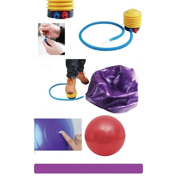 0580 Anti-Burst Gym Ball with Pump (75 cm)