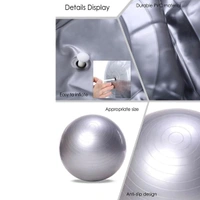 0580 Anti-Burst Gym Ball with Pump (75 cm)