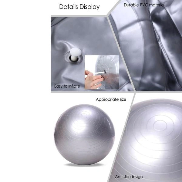 0580 Anti-Burst Gym Ball with Pump (75 cm)