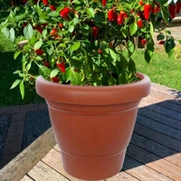 0839 Garden Heavy Plastic Planter Pot/Gamla 6 inch (Brown, Pack of 1, Small)