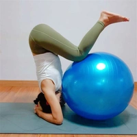 1592 Anti-Burst Exercise Heavy Duty Gym Ball (Multicolour) (75Cm) (No Box & No Pump)
