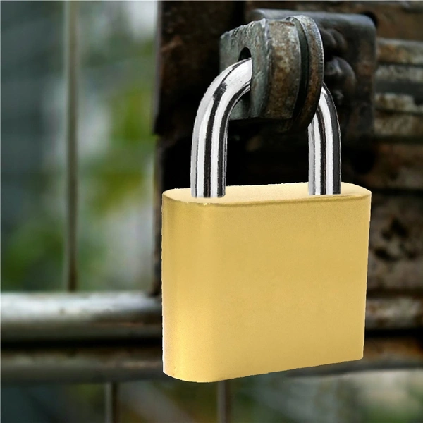 1681 Locking Solutions and Systems 7675 Padlock Sherlock Lock