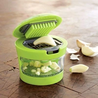 2108 ediscountshops.com Ginger Garlic Crusher for Kitchen