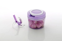 2175 Multipurpose Vegetable Fruit Chopper Grinder Mixer Slicer (750 ml)