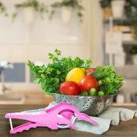 2553 2-in-1 Vegetable and Fruits Cutter/Chopper