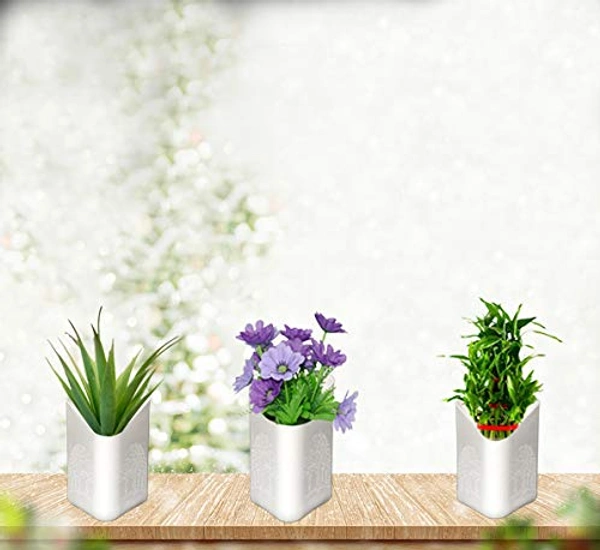 3858 Plastic Vertical Hanging Planter Pot, Multicolour,