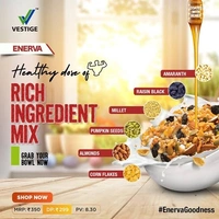 ENERVA HI NUTRITION BREAKFAST CEREALS RICH IN FIBRE PROTEIN IRON - 350GM