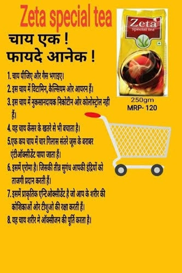 VESTIGE ZETA SPECIAL TEA BAGS  - 100 N