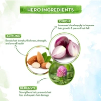 Mamaearth Onion Hair Oil for hair growth with Onion & Redensyl for Hair Fall Control - 250ml15%off15%off - 150ML