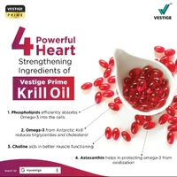 KRILL OIL CAPSULES 30 N - DEC 2024, 30 Capsules
