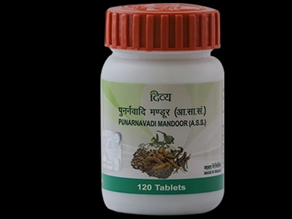 Patanjali Divya Punarvadi Mandoor 120N - 120 Tablets