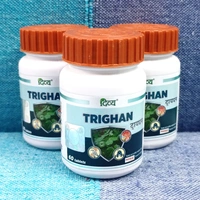 Patanjali Divya Trighan 60N - 60 Tablets