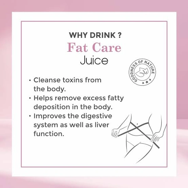 Four Seasons Fat Care Juice 1Ltr