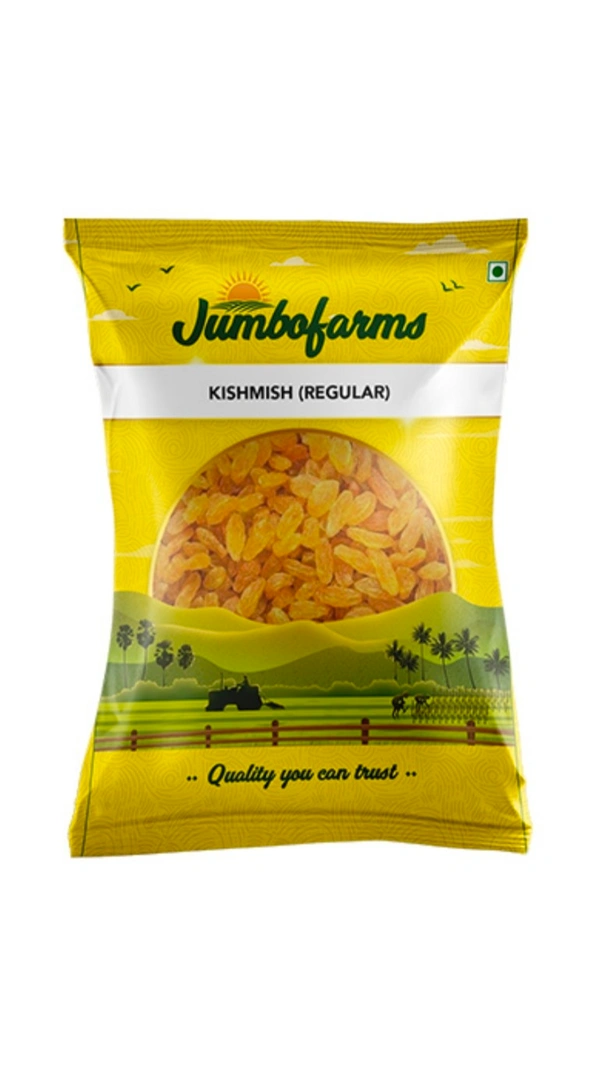 Jumbofarms Kishmish (Regular), 500g Pack