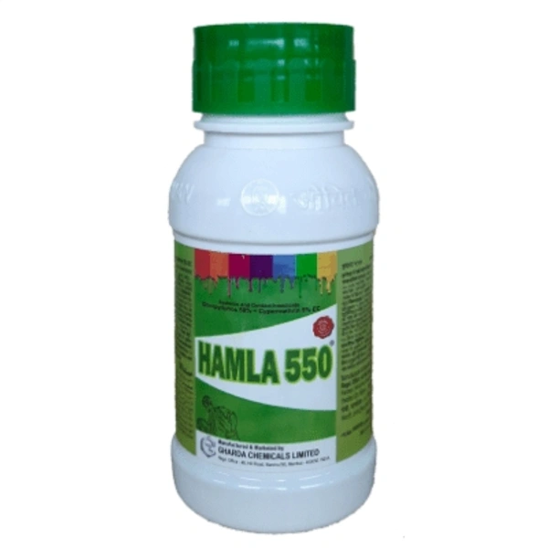 HAMLA  - 1 Little