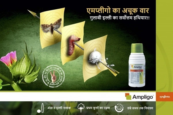 Syngenta Ampligo Insecticide (Chlorantraniliprole 10 % + Lambda cyhalothrin 5% ZC) - 200ml