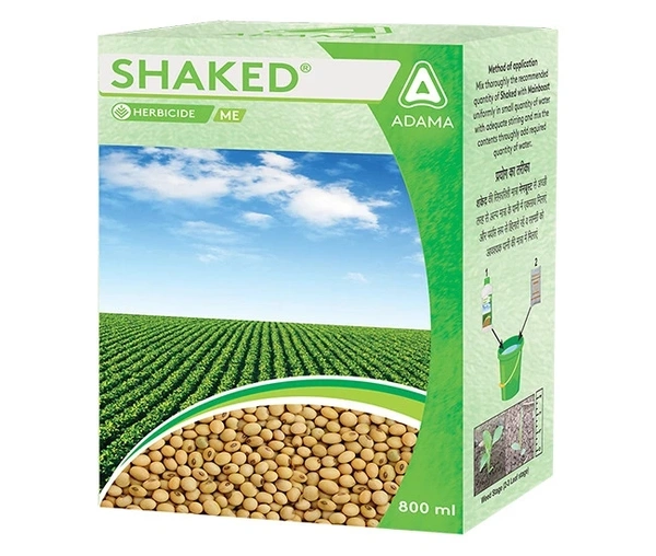 Shaked - 800
