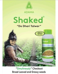 Shaked - 800