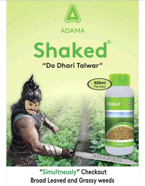 Shaked - 800