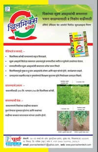 Chilmix Cambi - 250gm