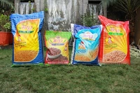 Mayur Seeds