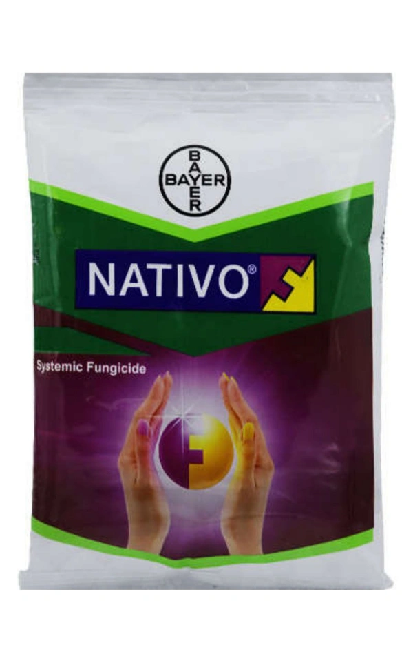 Nativo बायर-नेटिवो - टेबुकोनाज़ोल + ट्राइफ्लॉक्सीस्ट्रोबिन ७५डब्ल्यूजी | Bayer-Nativo - Tebuconazole + Trifloxystrobin 75 WG - 250gm