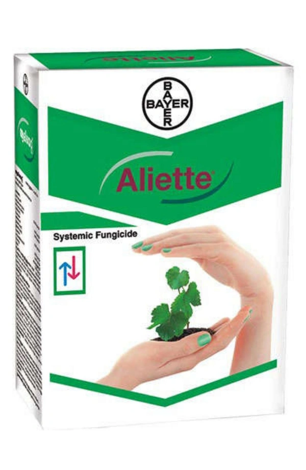 ALIETTE - 1000gm