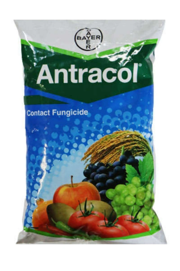ANTRACOL - 1000gm