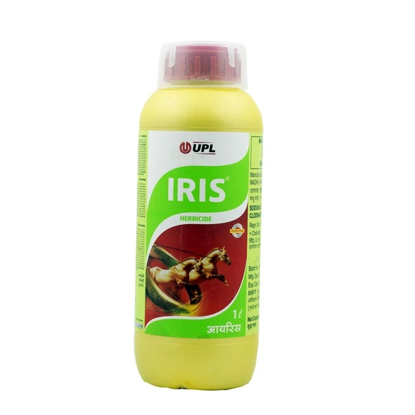 Iris