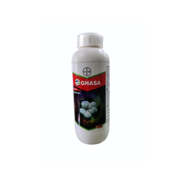 Ghasa
