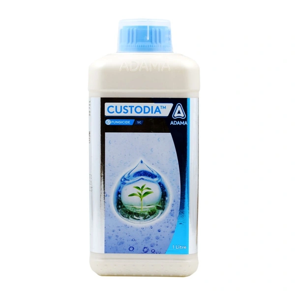 Custodia - 500 ML