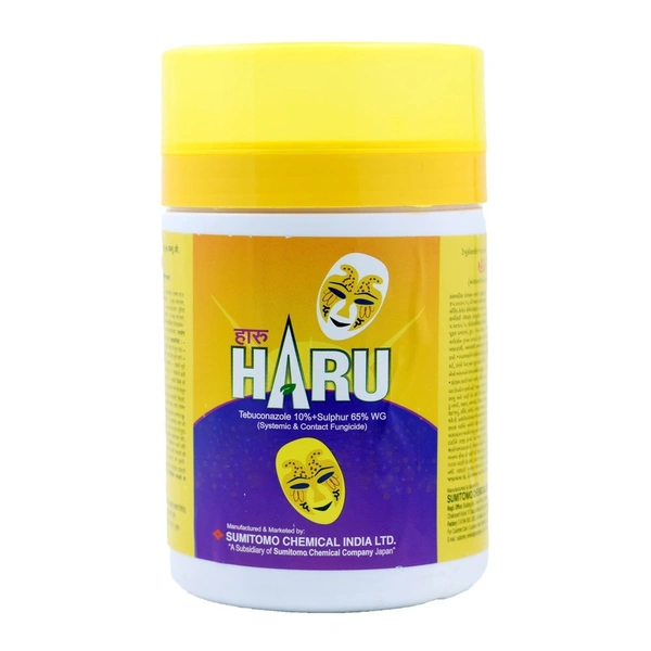 HARU - 1 KG