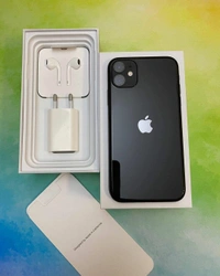 iPhone 11  - Festival