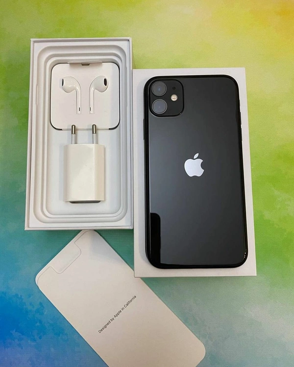 iPhone 11  - Festival