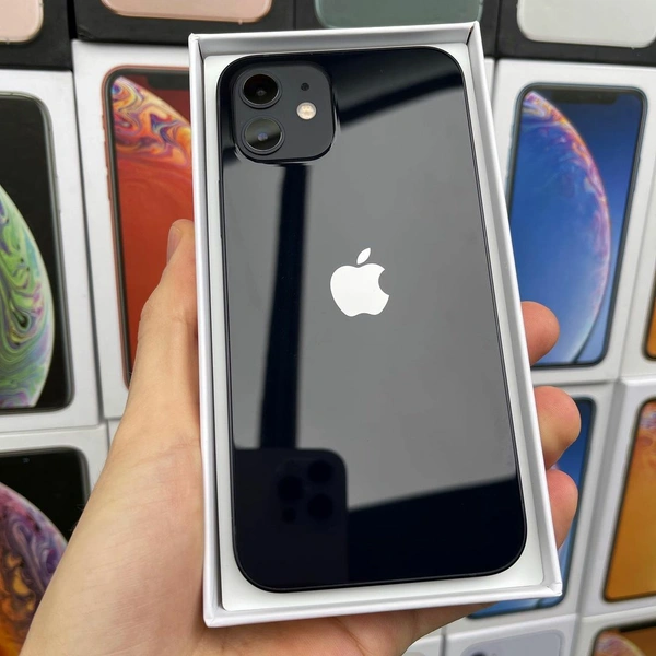 iPhone 11  - Festival