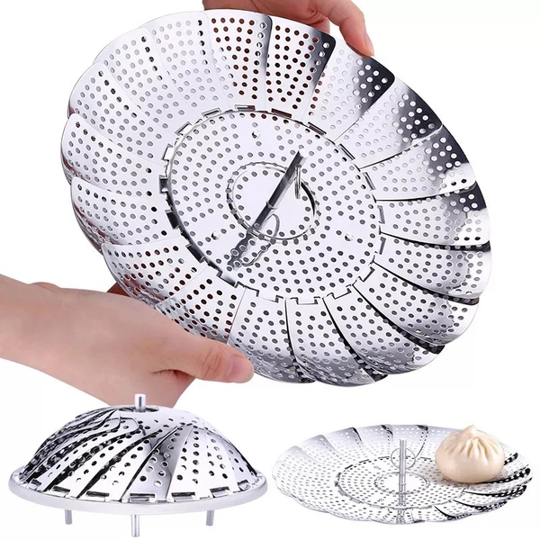 Steamer MultiPurpose Steamer 