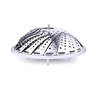 Steamer MultiPurpose Steamer 