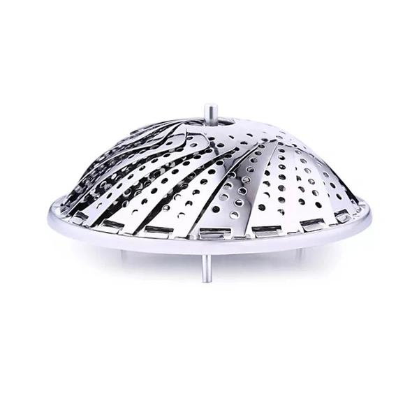 Steamer MultiPurpose Steamer 