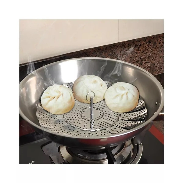 Steamer MultiPurpose Steamer 