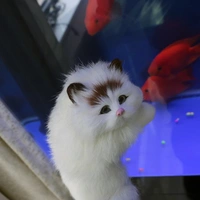 Cat Toy Plush / Real Look Like Cat Toy