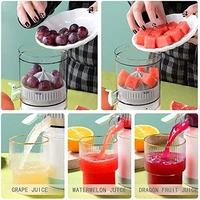 Juicer With Filter Portable Juicer