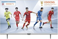 80 cm (32 inch) HD Ready LED Smart TV