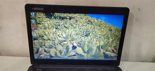Hasee Laptop