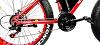 Electric 26 inches 21 Gear Lithium-ion (Li-ion) Electric Cycle