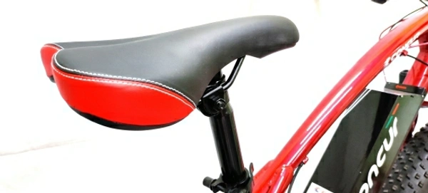 Electric 26 inches 21 Gear Lithium-ion (Li-ion) Electric Cycle